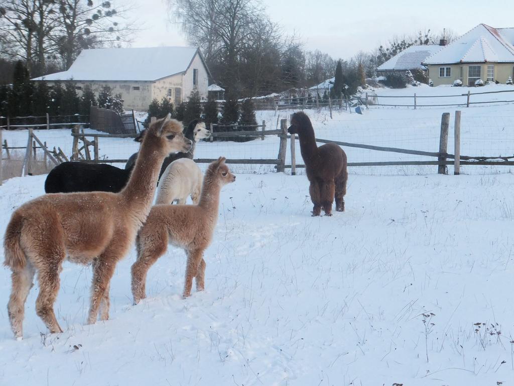 Seeblick Farm stay